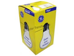 24V 60W ES SPARE BULB